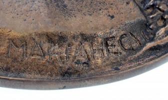 Ifj. Máriahegyi János (1925-2001) 1983. "Bozó Gyula 70 éves" Br emlékplakett eredeti tokba...