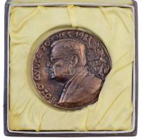 Ifj. Máriahegyi János (1925-2001) 1983. "Bozó Gyula 70 éves" Br emlékplakett eredeti tokba...