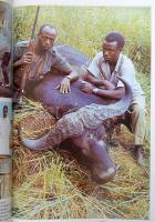 3 db könyv - Somssich Pongrác: Afrika szívében; Machulka, Bédric: Vadcsapáson Afrikában; Filchner, W...