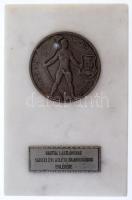 Sóváry János (1895-1966) DN "Vasas Sport Club" ezüstözött fém sport díjérem márványlapon, ...