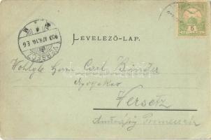 1903 Vajdahunyad, Hunedoara; vár / Cetatea (Castelul) Huniadestilor / castle