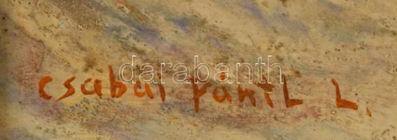 Csabai Pántl László (1904 - 1982): Erdei patak. Olaj, farost, jelzett, keretben, 32x23 cm