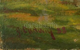 S. Ludwig jelzéssel: Alpesi ház. Olaj, karton. 38x58 cm