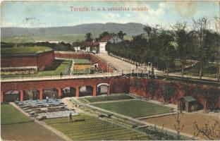 1915 Terezín, Theresienstadt; C. a. k. zelinárské zahrady / vegetable gardens (EK)