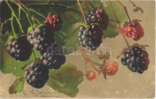 Fruits. G.O.M. 1672. litho s: C. Klein  (EK)