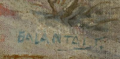 Galántai jelzéssel: Faluvégen. Olaj, vászon. Jelzett. 44x56 cm