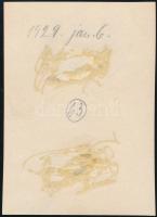 1929 Kinszki Imre (1901-1945) budapesti fotóművész jelzés nélküli, de általa feliratozott, vintage f...