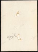 cca 1936 Kinszki Imre (1901-1945) budapesti fotóművész jelzés nélküli, vintage fotója (Látkép a Duna...