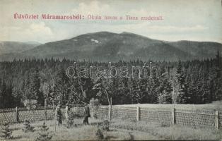 Máramaros Okula havas, Tisza forrás