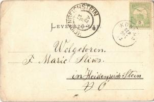 1905 Vivrat, Vyvrat (Malacka, Malacky); Pálffy kastély. Wiesner Alfred kiadása / Schloss / Pálffyovs...