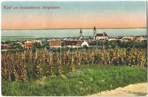 1925 Ruszt, Rust am Neusiedlersee; látkép. Edmund Frankendorfer kiadása / general view (EB)
