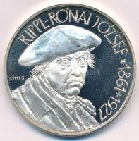 Tóth Sándor (1933-) / Szabó Géza (1939-) 1993. "MÉE XXIII. Vándorgyűlése Kaposvár / Rippl-Rónai...