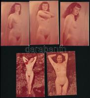 cca 1970 5 db erotikus színes fotó meztelen hölgyről a szabadban egy fa előtt (2 db), és egy függöny előtt (3 db), 10x6 cm