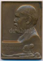 Pásztor János (1881-1945) 1912. "DR. GENERSICH ANTALNAK HÁLÁS TANÍTVÁNYAI 1912" Br plakett (60x44mm) T:1-