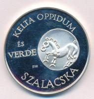 Fritz Mihály (1947-) 1993. "120 éve tanácsi jogú város Kaposvár - 25 éves az Éremgyűjtő Csoport...
