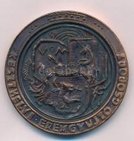 Peternák Gusztáv (1928-) 1982. "Szigligeti vár XIX.szd. - Avas torony / Keszthelyi Éremgyűjtő C...