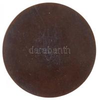 Sidló Ferenc (1882-1953) 1932. "Dr. Rottman Ármin 1860-1932" egyoldalas Br emlékérem (65mm...