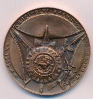 Peternák Gusztáv (1928-) 1983. "Hegyesd vára / MÉE-Keszthely" Br emlékérem (50mm) T:2
Ada...