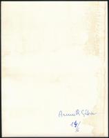 Armuth Gábor (?-?): Szász Endre (1926-2003) Munkácsy Mihály-díjas festő- és grafikusművész, látványt...