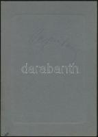 cca 1910 Arad, Decsy Lajos fényképész hidegpecsétjével jelzett, vintage fotó, 14x9,3 cm, karton 19,3...