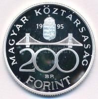 1995. 200Ft Ag "Deák" kapszulában T:PP kis fo.
Adamo F13.1