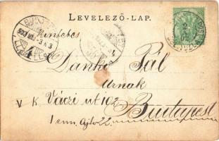 1902 Osztrák-magyar katonák borozás közben, hegedű / K.u.K. (Austro-Hungarian) military, soldiers dr...