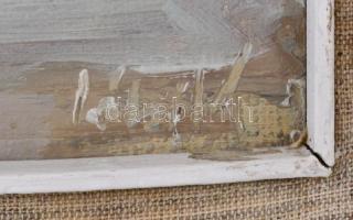 Olvashatatlan jelzéssel: Téli táj. Olaj, vászon, jelzett. 40x60 cm Keretben