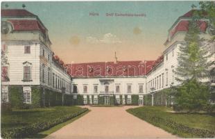 1919 Pápa, Gróf Esterházy kastély (fl)
