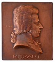 Telcs Ede (1872-1948) 1923. Mozart egyoldalas Br plakett (67,11g/55x49mm) T:1- felszíni karc / Hungary 1923. Mozart Br plaque. Sign.: Ede Telcs (67,11g/55x49mm) C:AU surface scratch HP 6155.