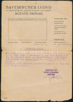 1946-1951 Fényképes német személyigazolvány, magyar nevű személy részére