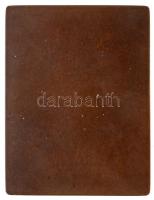 Telcs Ede (1872-1948) 1906. "Popper Dávid" Br szögletes emlékplakett (43,14g/50x38mm) T:2 ...