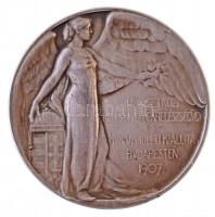 Juhász Gyula (1876-1913) 1907. "Nemzetközi Balesetügyi, Iparegészségügyi és Munkás Jóléti Kiáll...