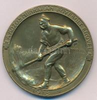 Rápolti Lajos (1880-1954) 1918. "A közös munkában egyesült erővel 1918" egyoldalas Br emlékérem (55mm) T:1- ph. Hungary 1915. "United force in common work 1918" Br commemorative medallion (55mm) Sign.: Lajos Rápolti C:AU edge error