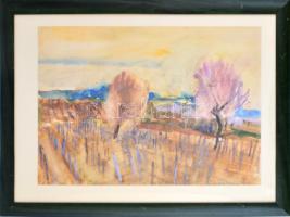 Somlai Vilma (1938-2007): Virágzó fák a Balatonnál. Akvarell, papír, Jelzett. 44x55 cm Üvegezett keretben