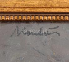 Komlós István (?-?) : Szigligeti vitorlások. Olaj, papír-karton, jelzett, üvegezett keretben, 33x50 ...