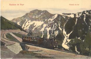 Rochers de Naye, Chemin de fer / railway line, trian