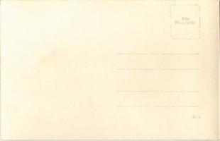 Trautmannsdorf an der Leitha, Mühle / mill. photo