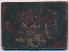 Holló Barnabás (1865-1917) DN "Báró Wesselényi Miklós emlékverseny - Balatoni távúszás" Br...