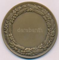 Berán Lajos (1882-1943) 1933. "TESZ-Nemzeti Munkahét" kétoldalas Br emlékérem (60mm) T:1
...