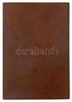 Csillag István (1881-1968) 1909. "Lóczy Lajosnak 1909 Márciusában Tanítványai és Tisztelői"...