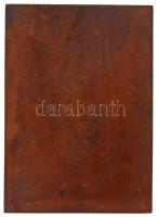 Beck Ötvös Fülöp (1873-1945) 1907. "Tisza István gróf" egyoldalas Br plakett (128,34g/76x5...