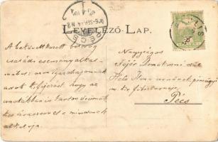 1906 Ópálos, Ópaulis, Paulis; Lujza villa, nyaraló / villa. Art Nouveau (kopott sarok / worn corner)