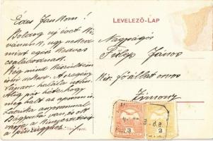 1911 Mihályfalva, Michelsdorf, Boarta; Filep (Fülep) ház, kastély / castle (Rb)