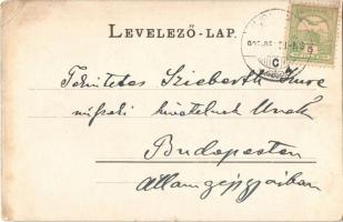 1905 Vajdahunyad, Hunedoara; Hunyadi vár. Schuller A. kiadása / Cetatea (Castelul) Huniadestilor / c...