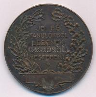 1939. "A Budapesti Kereskedelmi és Iparkamara Kitüntető Érme / Jeles tanulókból lesznek kitűnő ...