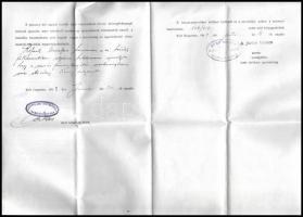 1919 Weiss Mandréd lőszer, acél és fémművek: tanoncszerződés