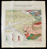 cca 1886 A Pojana-Ruszka nyugati felének és környékének átnézetes földtani térképe, Lóczy Lajos, 1:200.000, Bp. M. Kir. Földtani Intézet, (Grund V.-ny.), 44x42 cm