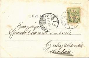 1904 Déva, vár. Kroll Gyula kiadása / Cetatea Deva / castle (ázott / wet damage)