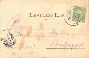 1904 Petrozsény, Petrosani; Részlet a szurduki szorosból. Herz Arnold és Grausam Károly kiadása / Pa...