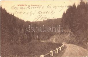 1912 Borszék, Borsec; Szerpentin út. Pollatschek Gyula kiadása / serpentine road (ázott sarok / wet corner)